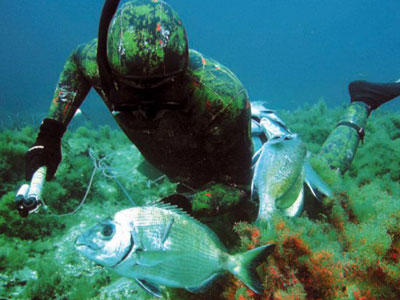 Σφυρίδα «γίγας» ο νικητής στον διαγωνισμό ψαροντούφεκου